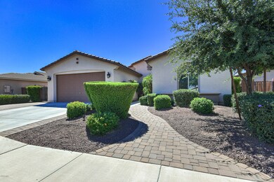 341 W Leatherwood Ave, San Tan Valley, AZ 85140 - photo 3