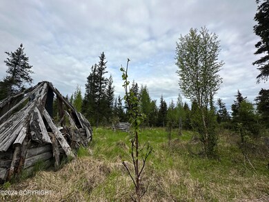 IMG_3523