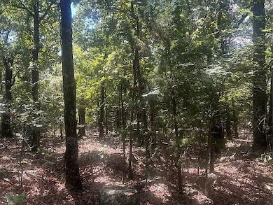 449400 E 988 Rd, Vian, OK 74962 - photo 6