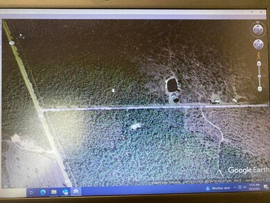 google view