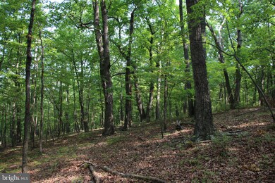 0 Dawn Heights Trail, Winchester, VA 22603 - photo 6