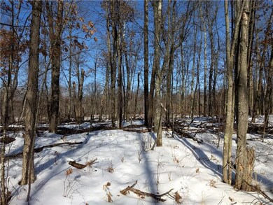 0 Lee Rd unit 1515415, Webster, WI 54893 - photo 2