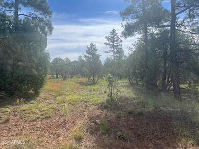Lot 55. 2