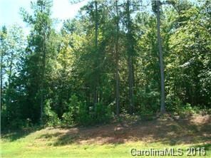 Lot 60 Butternut Ln unit 60, Denver, NC 28037 - photo 3