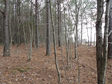 Lot 19 Summer City Rd, Evensville, TN 37332 - photo 6