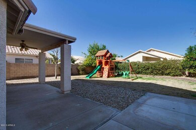 Backyard - view 1