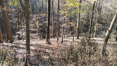 16 Lake View, Smithville, TN 37166 - photo 4