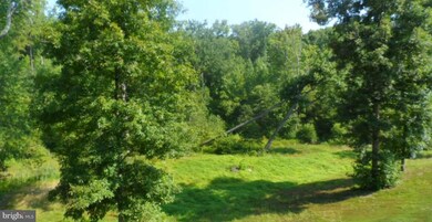 20380 Sunset Hill Dr, Lignum, VA 22726 - photo 7