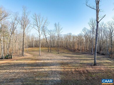Lot 12 Grey Heron Rd unit 12, Keswick, VA 22947 - photo 4