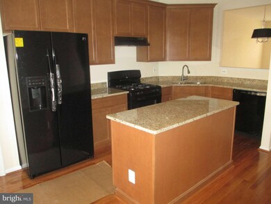 21476 Welby Terrace, Broadlands, VA 20148 - photo 6