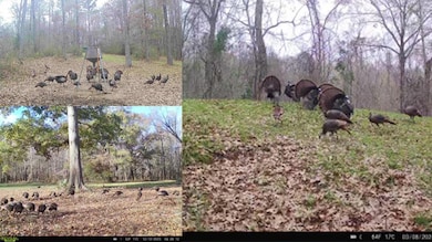 199 Robert Williams Rd, Lorman, MS 39096 - photo 4