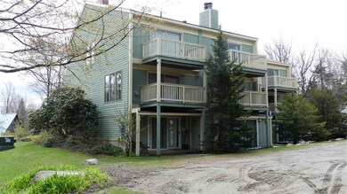 3 Fox Meadow Ln unit 3G, Dover, VT 05356 - photo 2