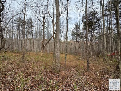 0 Pine Knoll Farms unit 145572, Stuart, VA 24171 - photo 6