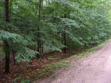 00 Bracco, Moultonborough, NH 03254 - photo 7