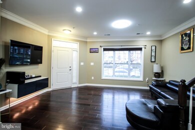 23550 Belvoir Woods Terrace, Ashburn, VA 20148 - photo 7