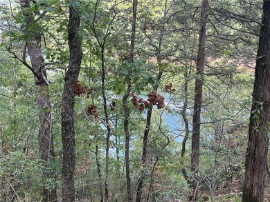 0 Cr-206 unit 1319192, Eureka Springs, AR 72632 - photo 7