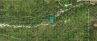 0 N A unit MFRO6267358, Frostproof, FL 33843 - photo 2