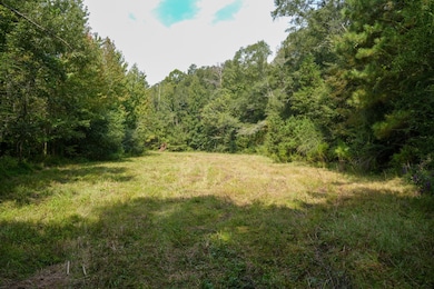 0 Bethesda Rd unit 11612880, Crystal Springs, MS 39059 - photo 5