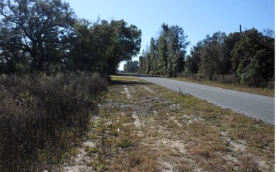18 AC 49th Rd, Obrien, FL 32071 - photo 2