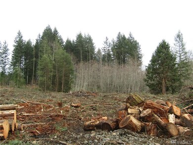 0 Jefferies Rd, Chehalis, WA 98532 - photo 2