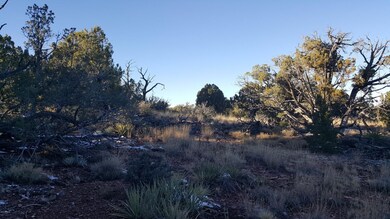 20161130_180013