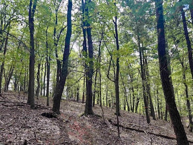 1030 Treetop Ridge Rd, Blacksburg, VA 24060 - photo 2