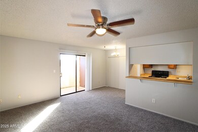 410 E 9th Ave unit 13, Mesa, AZ 85204 - photo 3