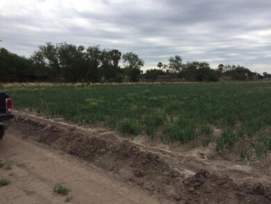 000 E Nebraska Rd, Alamo, TX 78516 - photo 6