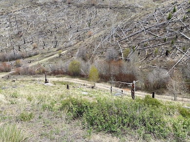 Nhn Dickson Creek Rd, Conner, MT 59827 - photo 4