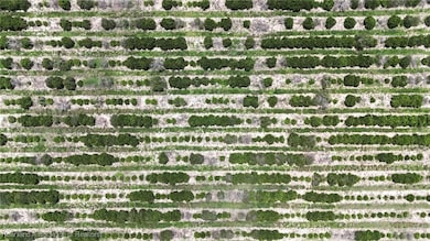 700 Sheriffs Tower Rd, Sebring, FL 33870 - photo 2