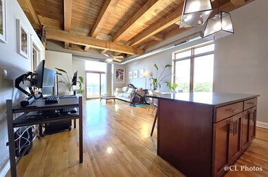 500 N Damen Ave unit 401, Chicago, IL 60622 - photo 7