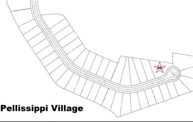 Pellissippi Village Map