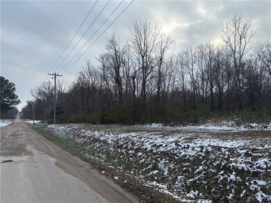 0 Kings Hill Rd, Sumner, IL 62466 - photo 5