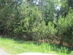 28712 Pleasant Forest, Magnolia, TX 77355 - photo 2