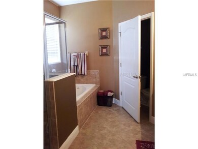 30419 Lipizzan Terrace, Mount Dora, FL 32757 - photo 6