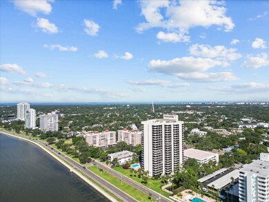 Drone view 2413 Bayshore Blvd looking south