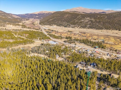 431 N Aspen St unit 5, Alma, CO 80420 - photo 4