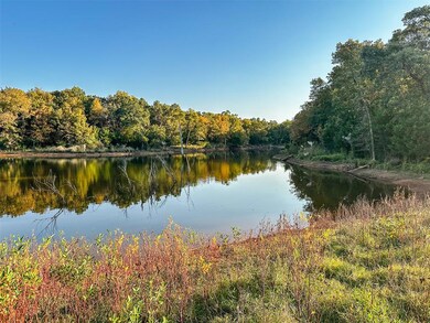 Water view with a forest