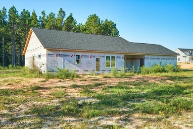 171 Spring Meadows Dr, Aberdeen, NC 28315 - photo 7