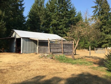 16036 Bald Hill Rd SE, Yelm, WA 98597 - photo 4