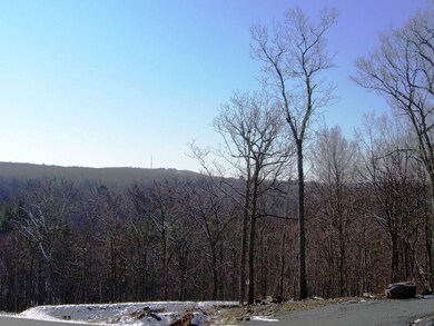 110 Blue Heron Way, Hawley, PA 18428 - photo 5