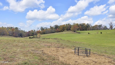 000 Matson Rd, Jonesborough, TN 37659 - photo 3