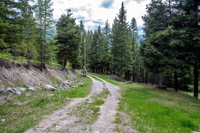 270 Rockhill Rd, Kila, MT 59920 - photo 3