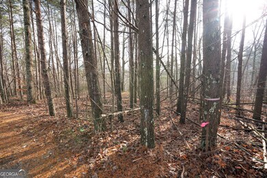 1 Amber Ct, Jasper, GA 30143 - photo 6