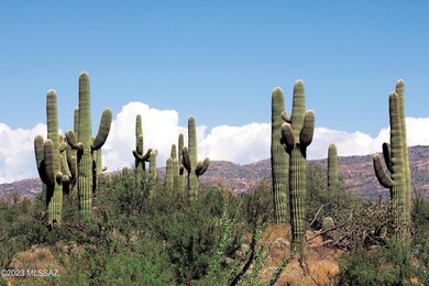 cactus030_corr