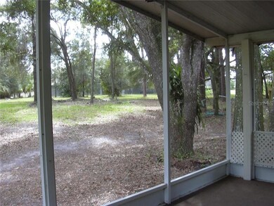 Southeast view from screened porch