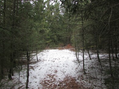 0 Highland Lp unit 721902, Ronald, WA 98940 - photo 6