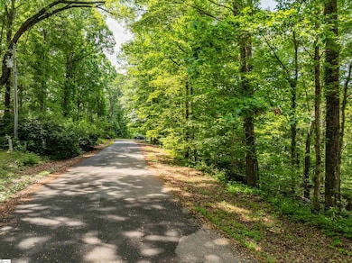 67 Wildflower Ln, Travelers Rest, SC 29690 - photo 7