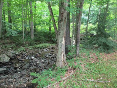 506 Swamp Rd, Hinesburg, VT 05461 - photo 6