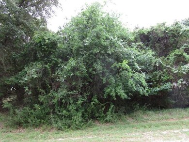 15081 Golf Dr, Whitney, TX 76692 - photo 2